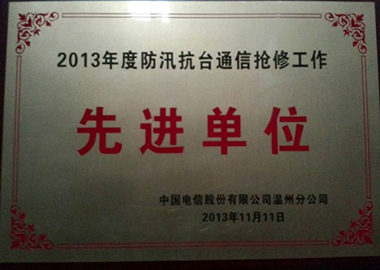 2013年度防汛抗台通信抢修工作先进单位（温州分公司）